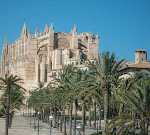 Kathedrale La Seu