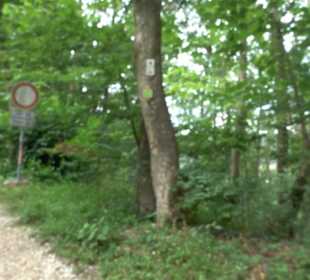 Hochgeträumt Premiumwanderung