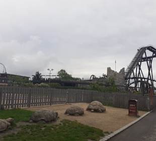Heidepark Soltau in Soltau