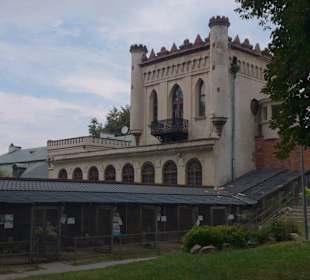 Hodowla rzadkich bażantów znajdująca się w parku