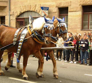 Wallenstein Festspielverein Altdorf e.V.