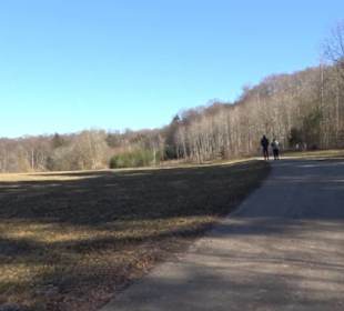 Burgruine Hohenstein