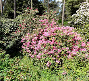 Impressionen vom Rundweg durch den Park