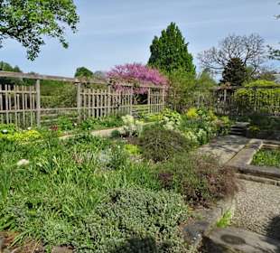 Spaziergang durch den Berggarten Hannover