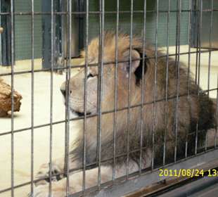 Besuch im Berliner Zoo