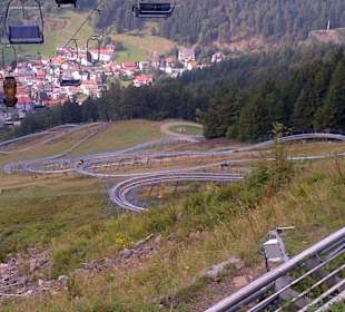 Hasnhorn Coaster Rodelbahn