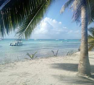 Insel Saona
