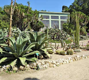 Rundgang durch den Botanischen Garten Cagliari