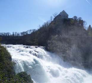 Rheinfall