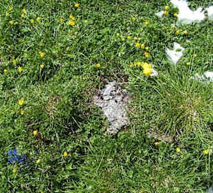 Grossglockner Hochalpenstrasse