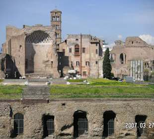 Ruinen im Forum Romanum