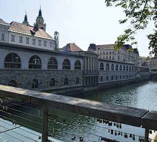 Stare miasto Ljubljana