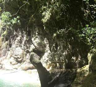 Dschungel - Trekking