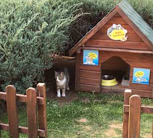 Stadtrundgang Belek - Bogazkent