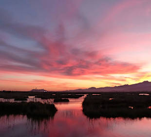 Sonnenuntergang am Albufera Park