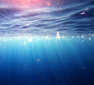 Schnorcheln Marsa Alam