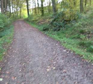 Kaiser- und Keltenrunde Stockach