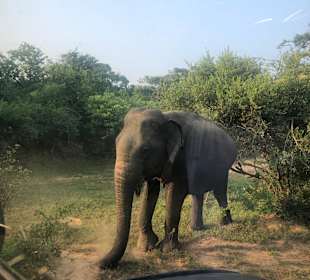Yala Nationalpark