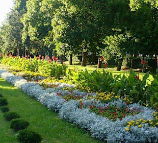 Park Zdrojowy