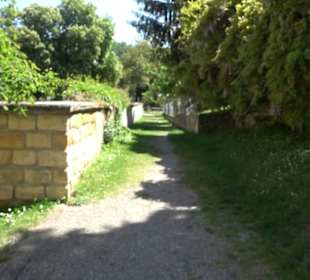 Friedhof Obernau