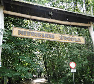 Rezerwat Przyrody Niebieskie Źródła