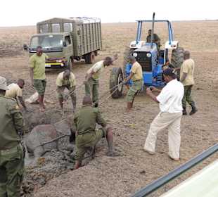 Babyfant-Rettung auf dem Weg nach Galdessa