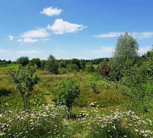 Ausblick von der Höhe aus