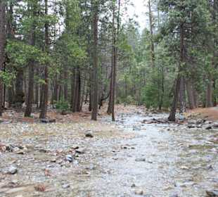 Yosemite Nationalpark