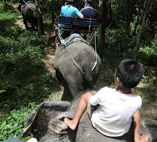 Elefanten Safari