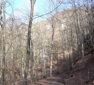 Buckfelsen