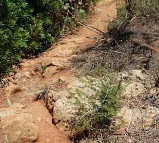 Steilküste - Wanderweg