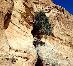 Siq al-Barid - Kleines Petra
