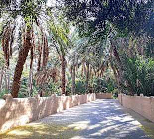 Al Ain Oase