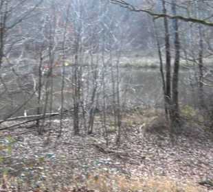 Schönbuch Schaichtal