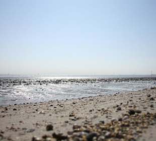 Strand in Schillig