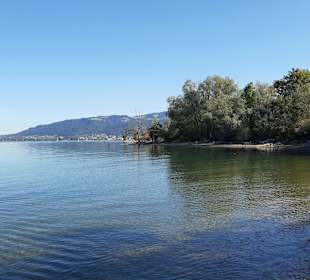Uferpromenade Bregenz