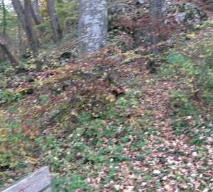 Wandern um die Rauber Ruine