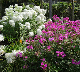 Eindrücke vom Rundgang durch die Gärten