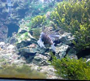 Tierpark Hellabrunn in München