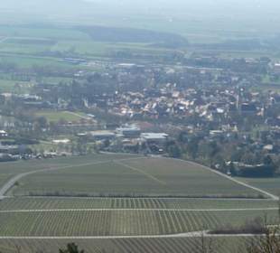 TraumRunde Schwanberg: Blick vom Conrads-Eck