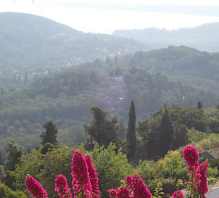 Inselrundfahrt Korfu