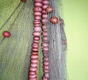 Rundgang durch das Fischereimuseum