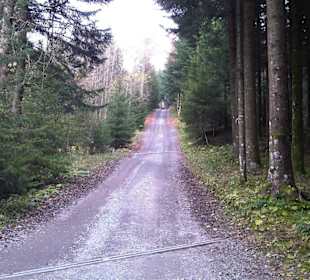 Aufstieg zum Etzel Kulm auf 1098m Höhe