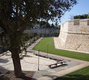 An der Stadt-Mauer von Mdina!