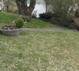 Martinskirche Hundersingen