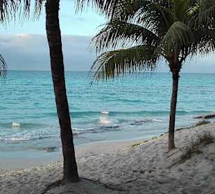 Umgebung - beim Einkaufscenter