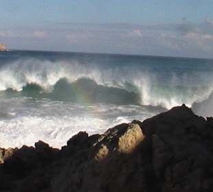 Ruhige 2,5h Nordic Walking-Wanderung am Meer