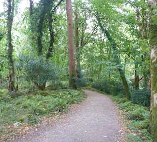 Killarney National Park