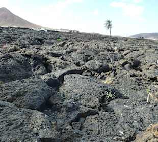 Fundacion Cesar Manrique