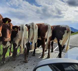 Wandern Saalbach-Hinterglemm